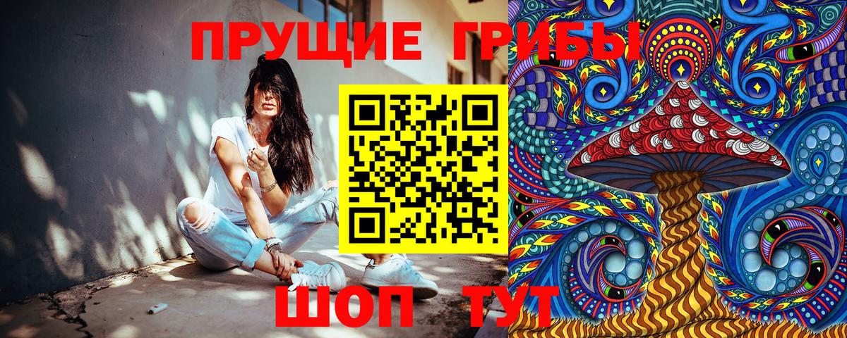 Псилоцибиновые грибы MAGIC MUSHROOMS Камышин
